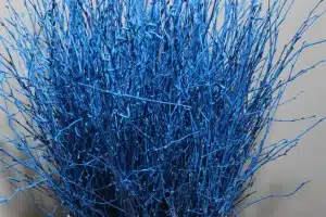 Birch Dyed Blue