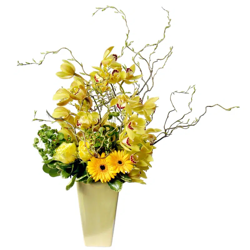 Cut Flower Care Instructions